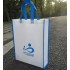 Non woven fabric bag 4202920000