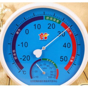 Hygrometer 9025800090